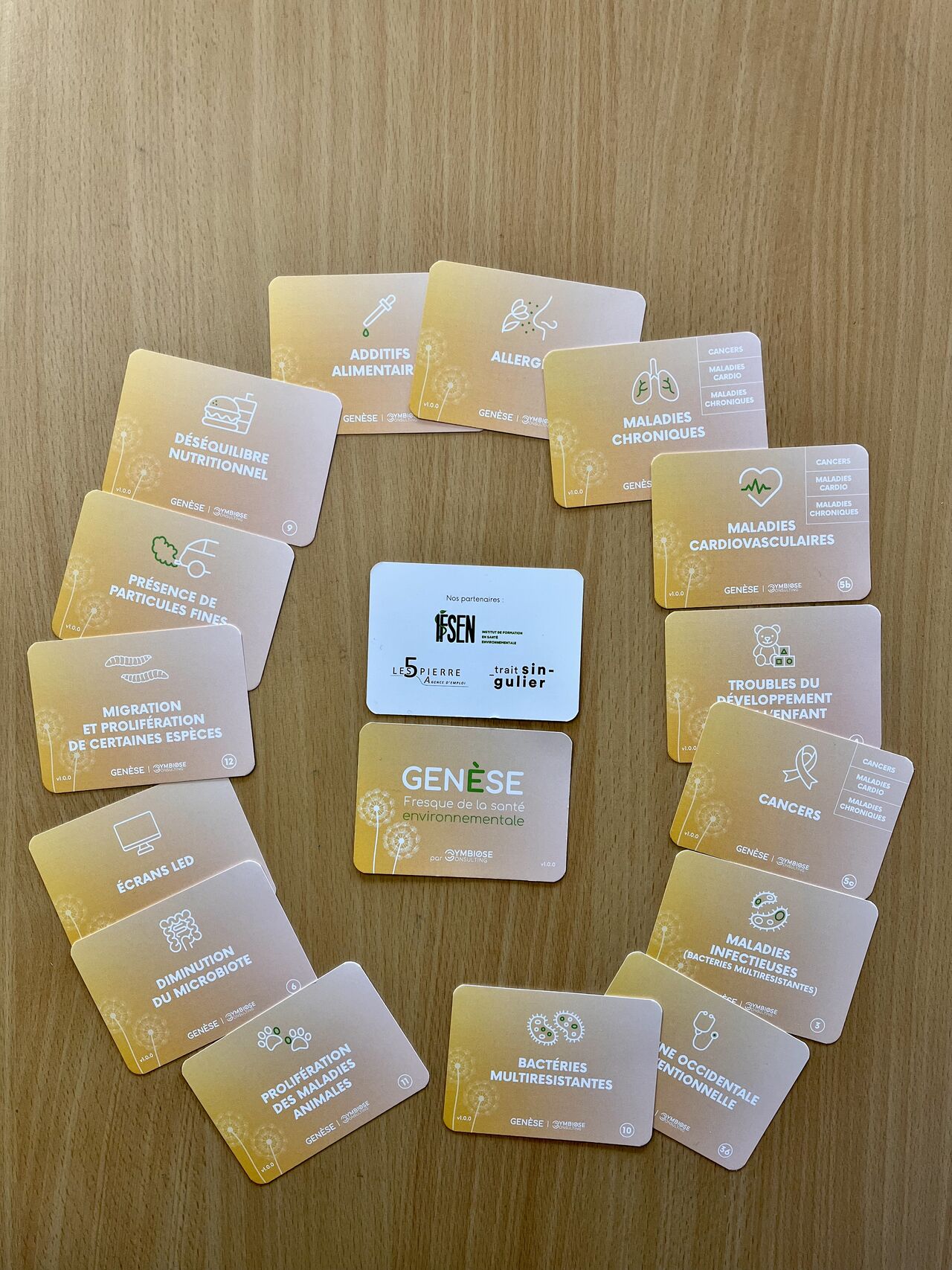 Fresque Santé Environnementale - Image 1